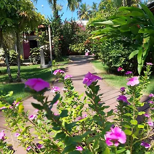 Casa Robinson Hotel
